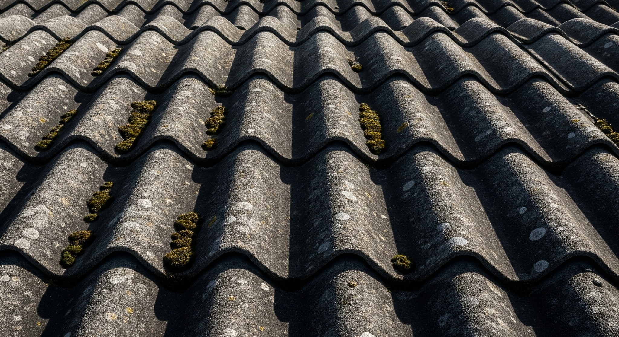 波形スレート屋根の画像