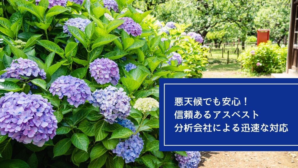 悪天候でも安心！信頼あるアスベスト分析会社による迅速な対応の画像